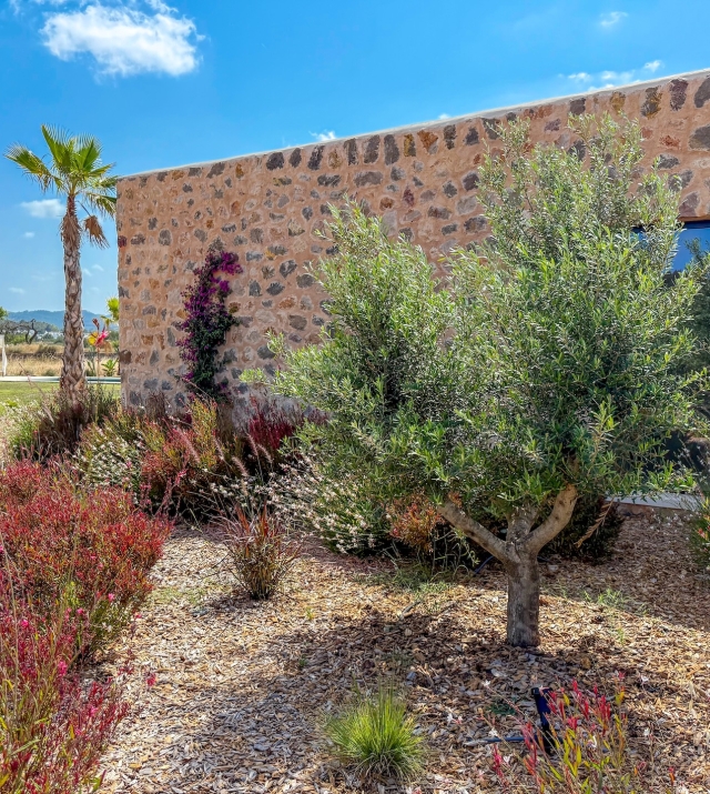 Resa estates Ibiza finca can Tumas for sale side house.jpg